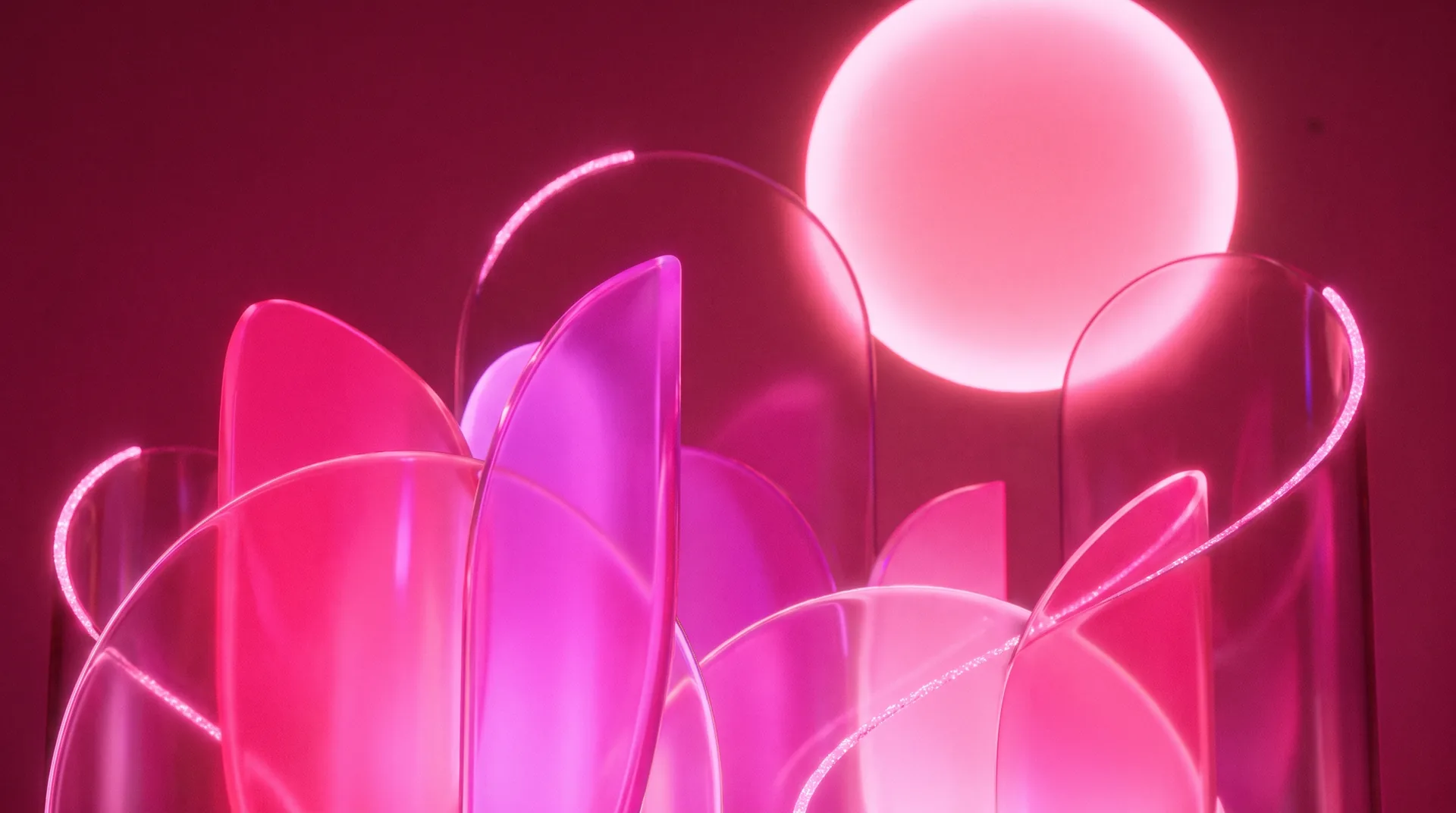 Abstract artwork of translucent rose petals and arches over a deep raspberry background